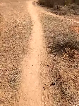 Tamilpaiyan07 online show from 02/08/26, 05:55