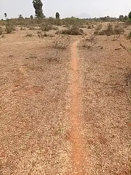 Tamilpaiyan07 online show from 02/09/26, 07:01