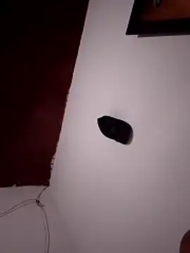 Snapshot of joseLive23 chatting on 04/06/26, 04:46 joseLive23 online show from 04/06/26, 04:46