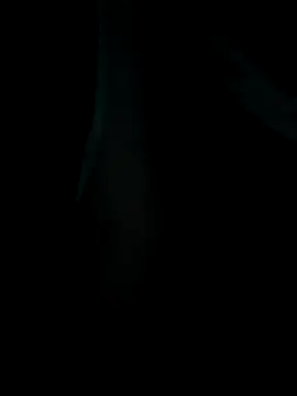 emzoss online show from 12/20/25, 05:14