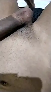 Novinhoie online show from 04/12/26, 07:08