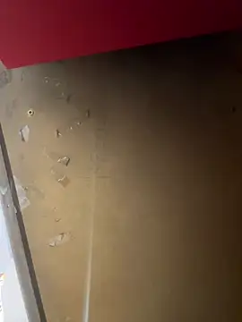 lele202526 online show from 04/01/26, 07:00