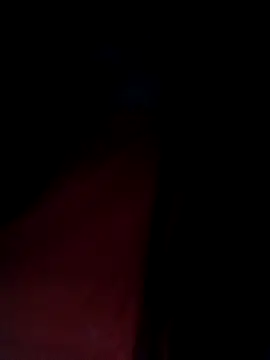 congchua977 online show from 02/04/26, 11:20