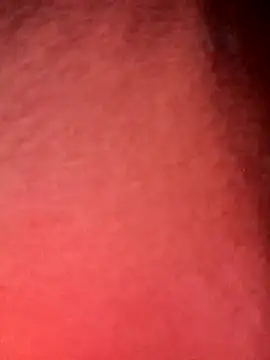 congchua977 online show from 02/05/26, 11:26