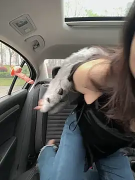 Snapshot of mo-mo-69 chatting on 04/03/26, 02:09 mo-mo-69 online show from 04/03/26, 02:09