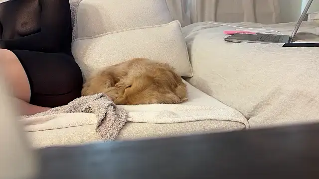 Ambrrr online show from 04/11/26, 08:02