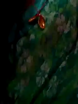 ramya sri online show from 02/02/26, 09:30