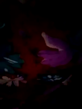 ramya sri online show from 02/21/26, 09:21