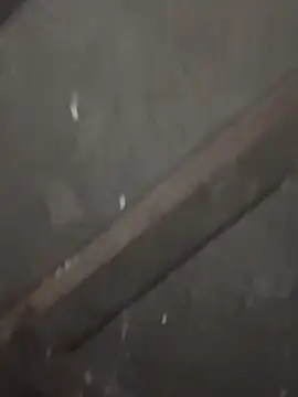 daksh  8 inche online show from 02/04/26, 10:04