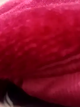 daksh  8 inche online show from 02/07/26, 08:34