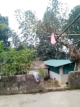 muamua99 online show from 01/17/26, 12:15