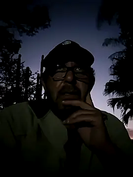 palmview2 online show from 05/25/26, 03:40