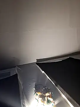 Snapshot of RealisedBooking chatting on 02/26/26, 12:04 RealisedBooking online show from 02/26/26, 12:04