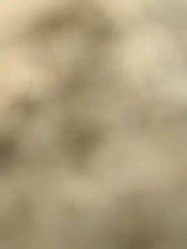 Pagelboy 089 online show from 02/15/26, 09:30