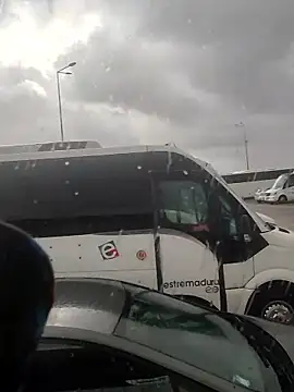 Paulopess online show from 01/16/26, 03:49