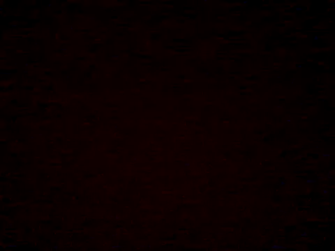  Daisy online show from 04/05/26, 07:22