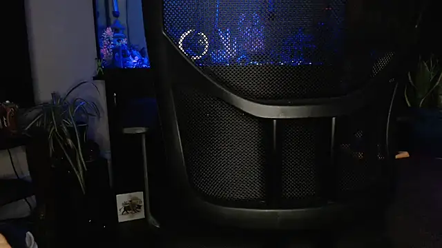 EspanolVato online show from 05/16/26, 10:23