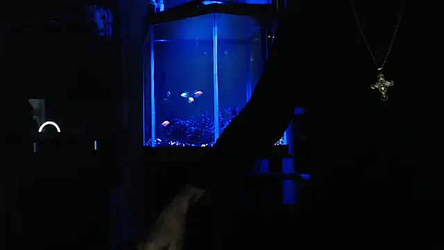 EspanolVato online show from 05/27/26, 10:12