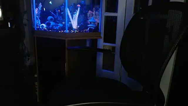 EspanolVato online show from 06/10/26, 10:36