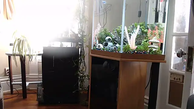 EspanolVato online show from 06/12/26, 10:19