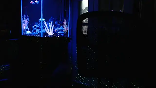 EspanolVato online show from 06/23/26, 10:46