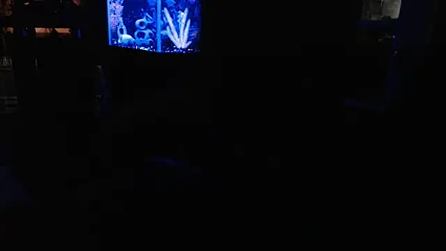 EspanolVato online show from 07/04/26, 12:00