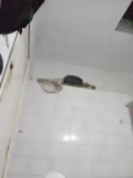 darkgodessone online show from 04/04/26, 11:35