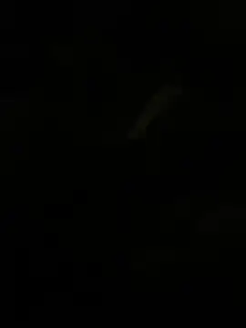 Herr Snusk online show from 07/01/26, 12:12
