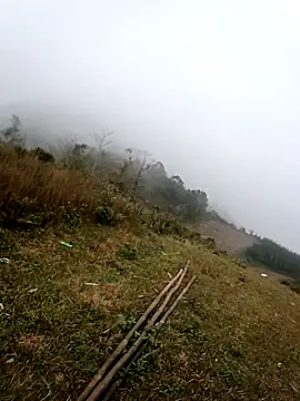 him220 online show from 02/15/26, 01:02