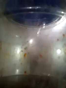 him220 online show from 03/12/26, 02:07