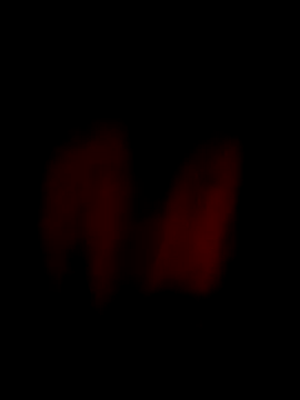 him220 online show from 04/03/26, 12:08