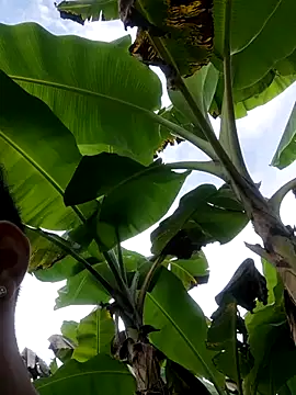 Wild and Sweets online show from 01/11/26, 07:52