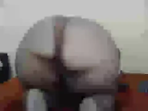 dalukuthula5832 online show from 04/03/26, 04:54