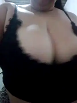 safadinha24h online show from 01/15/26, 01:10