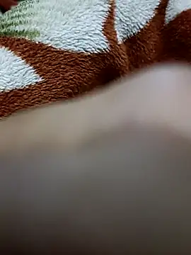  chota bunny  online show from 02/08/26, 06:06