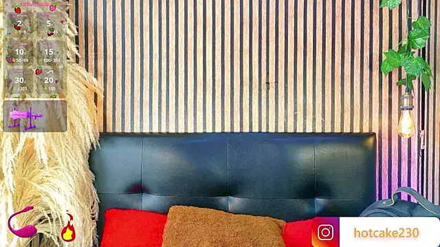 Hiddenhotcake online show from 02/25/26, 07:23