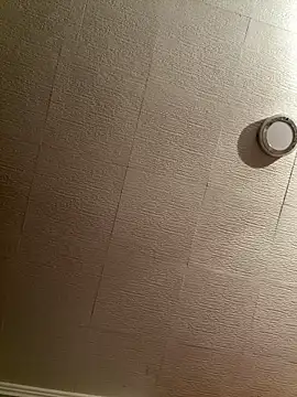 Snapshot of Evelin199 chatting on 02/08/26, 08:45 Evelin199 online show from 02/08/26, 08:45