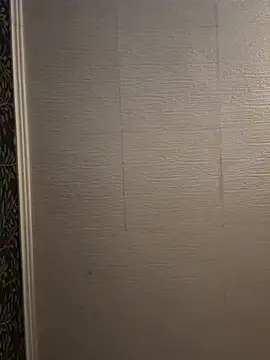 Snapshot of Evelin199 chatting on 02/22/26, 07:56 Evelin199 online show from 02/22/26, 07:56