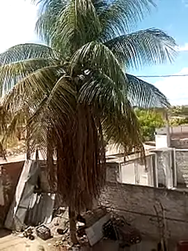     gozada---- online show from 01/09/26, 03:59