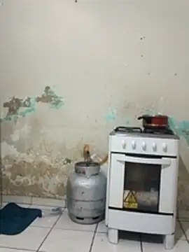     gozada---- online show from 01/12/26, 08:36