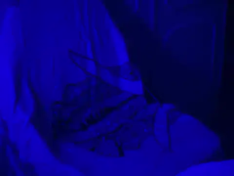 Snapshot of WarmSound chatting on 01/17/26, 08:52 WarmSound online show from 01/17/26, 08:52