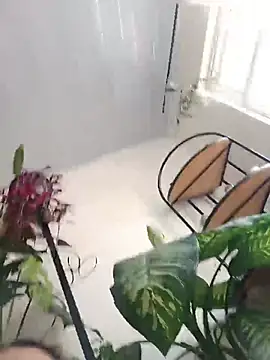 EcoDePiel online show from 08/02/26, 06:50