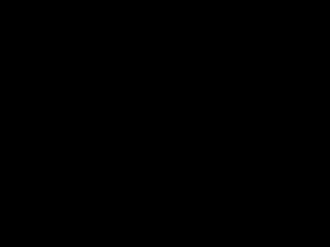 Blackkksnow online show from 07/24/26, 11:41