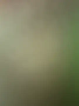 SassynNatty online show from 07/21/26, 06:43