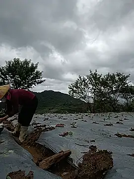 yu--yo online show from 06/18/26, 03:40