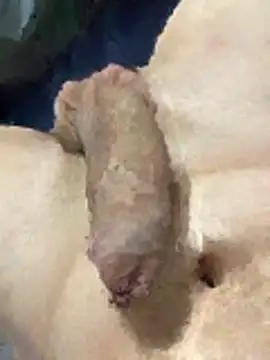 misteryboi online show from 02/01/26, 12:20