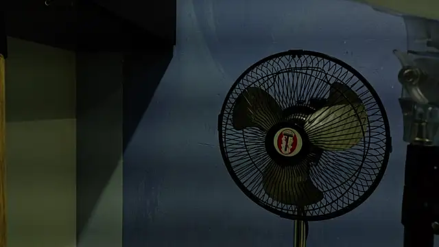 yvi taylor online show from 04/13/26, 12:21