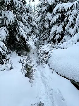 Marina und Jayden online show from 02/18/26, 02:24