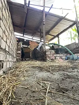 Ginny 2x online show from 02/20/26, 03:36