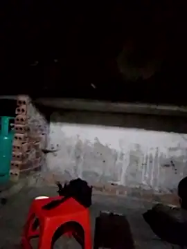 cdyyds-69 online show from 02/02/26, 10:41